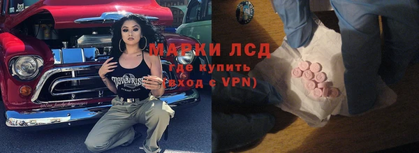 эйфоретик Вяземский