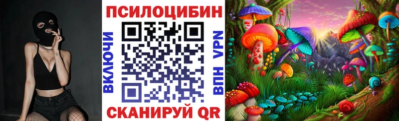Купить закладки  Пласт  Псилоцибиновые грибы ЛСД 